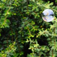 Photo Bubble wrap