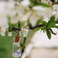 Photo Glass jar