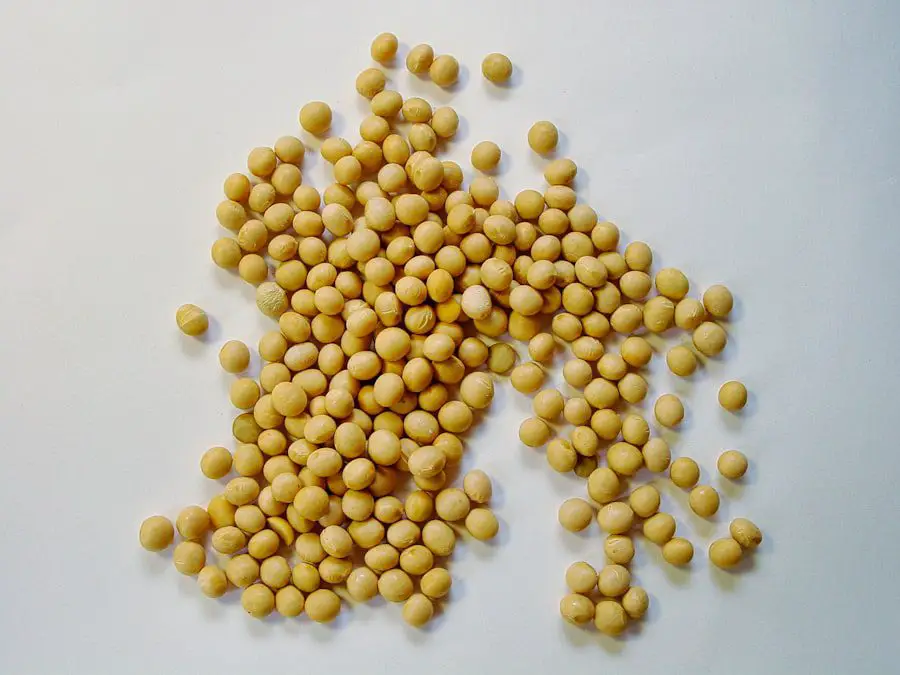 Photo Soy wax