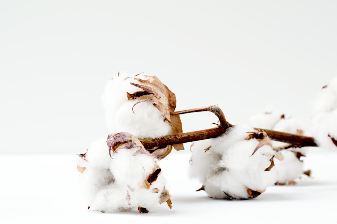 Photo Cotton wick
