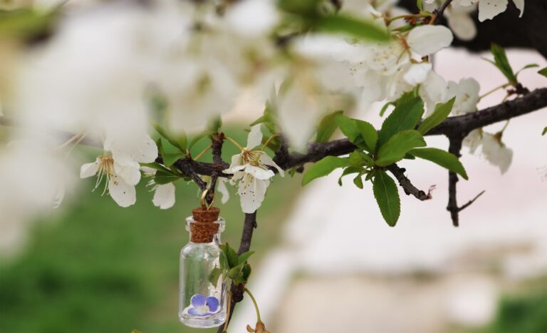 Photo Glass jar