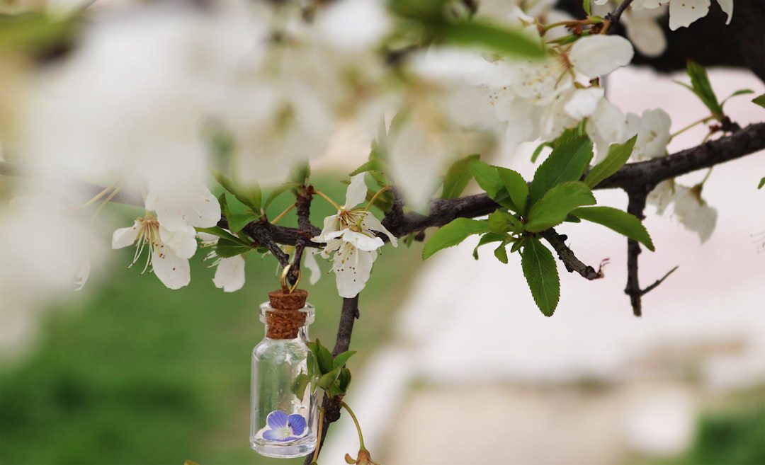 Photo Glass jar