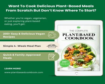 cookbook