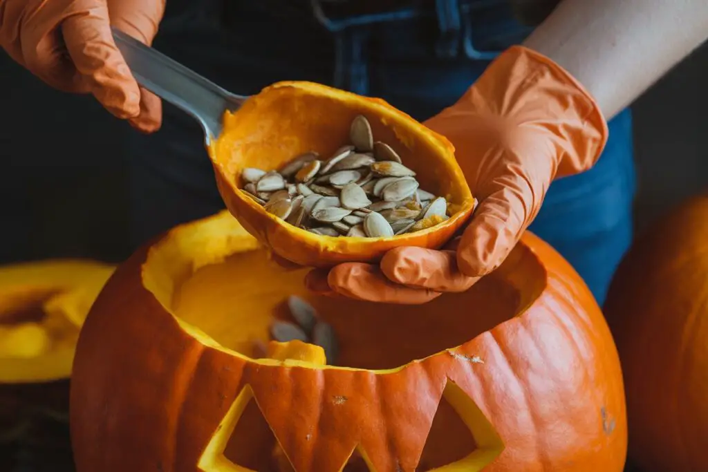 Hands scooping out pumpkin guts and seeds from a pumpkin.